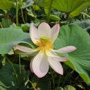 바우길 11구간 이미지