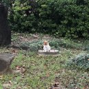 경남하얀세탁 | 10,11,12월 요약