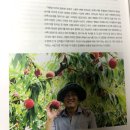상록수농원 이미지