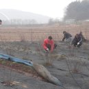 최연식 농장 이미지