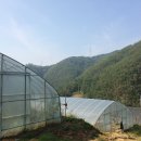 금산전기조명 이미지