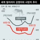 지에스케이 이미지