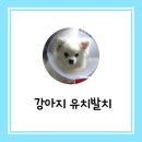 다정한 동물병원 이미지