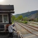 양지촌네스트
