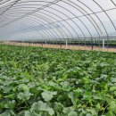 미현농장 이미지