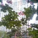 신성대림공인중개사사무소 이미지