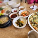 청정바지락칼국수，보리밥