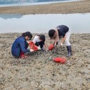 고흥시장A 이미지