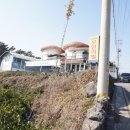 주돼지무한리필 이미지