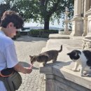 이레네 강아지 | 튀르키예 DAY1 : 이스탄불 워킹 투어(소울투어), 타리히 술탄아흐멧 쿄프테지시, 지야 바바 슬로우푸드