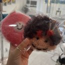 손가헤어