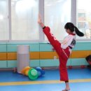 가온 태권도장 이미지