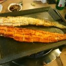 장어생각 이미지