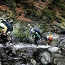 곰골스카이 이미지