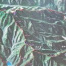 신기리 도로변 이미지