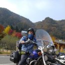 무궁화타운 이미지