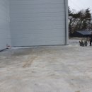 고골길116번길 이미지