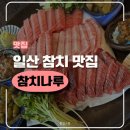 참치나루 | 일산 참치 맛집 후기 | 참치나루 | 내돈내산, 주차, 가성비, 가격
