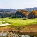 해슬리나인브릿지 컨트리클럽 이미지