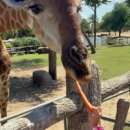 오션게임랜드 이미지