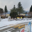 강림초등학교 앞 이미지