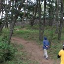 고하도 조선 육지면발상지비 이미지