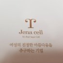 제나셀 이미지