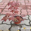 철암동 주민복지센터 이미지