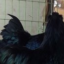 현성농장 이미지