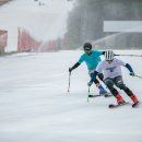 베어스 타운 이미지