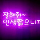 여기에 잘 적응할듯 싶어요 이미지