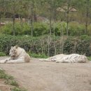 황호농장 이미지