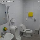 크로스핏 베어 이미지