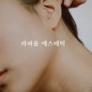 라피움 이미지