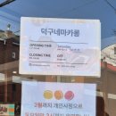 대덕상회 | 대전 대덕구 덕구네마카롱 가성비 마카롱 맛집 솔직후기