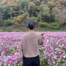 은행1리 | 강원도 1박 2일 캠핑여행코스 : 자작도해수욕장캠핑장 후기