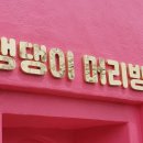 댕댕이 머리방 이미지