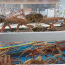 (주)이가 이미지