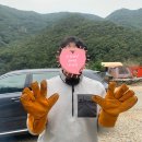 원동포시즌 | 경남 양산 캠핑장. 포시즌m 캠핑장에서 생일(B2 사이트)