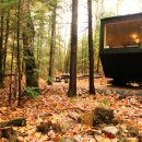 티니하우스 이미지