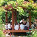 문화초병설유치원 이미지