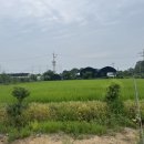 부천농장 | 부천 나눔농장 후기｜아기와 동물 먹이주기 체험! 서울근교 아이와 가볼만한곳 추천