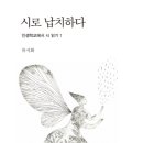 류시화 신간 ＜시로 납치하다＞ 1책소개-시인이 아니어도 시인의 눈으로 세상을 바라보라. 이미지