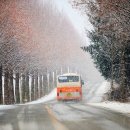 PRO당구장 이미지