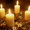 대림초등학교 이미지