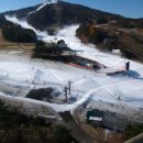 웰리힐리 스키장 이미지