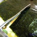소풍꼬마김밥 - 춘천시 춘천로 175-1 | 소풍꼬마김밥