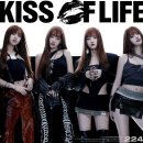 (주)아르테미스 이미지