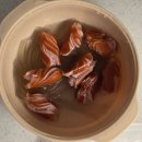 GS25포항대왕 | GS25 편의점 내돈내산 찐추천, 불닭 저리가라 "매콤로제납작면"