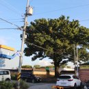 광양 인서리 우달홍 정려비와 세수제 이미지